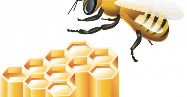 Пчелки в сотах