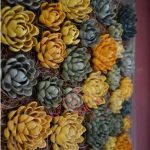 Цветы из фисташковой скорлупы