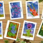 Картинки для детей "Цветы"