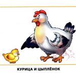 Картинки для детей "Курица и цыпленок"