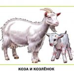 Картинки для детей "Коза и козленок"