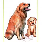 Картинки для детей "Собака и щенок"