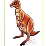Картинки для детей "Кенгуру и кенгуренок"