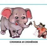 Картинки для детей "Слониха и слоненок"