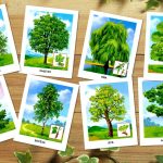 Картинки для детей "Деревья"